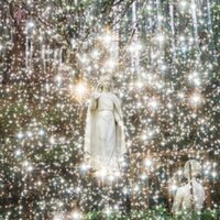 Airlucky (@co_yang) Twitter profile photo