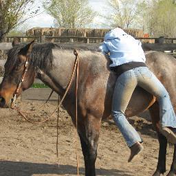 Sometimes the best saddle, is no saddle...