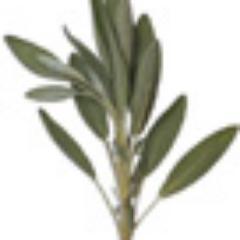 Sageling's profile picture. Social Justice Paganism (Clann Bhride, Unitarian Universalist)