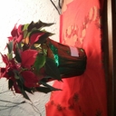 laurel neal - @Neal60Neal - Twitter