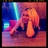 aslihanboz's profile image