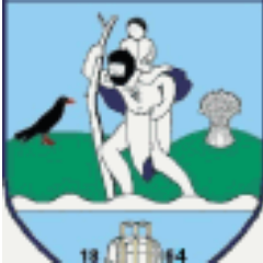 Shalford Cricket Profile