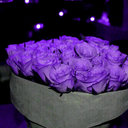 mona (@11Fajr) Twitter