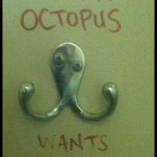 chinobi1983's profile picture. a manc trying to find himself