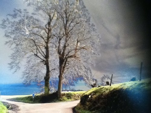 AlexFacq's profile picture. 