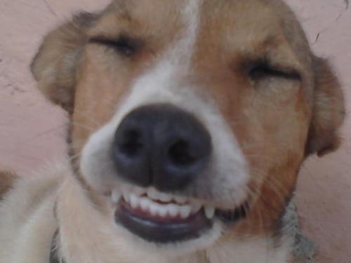 dono: @mathiasmessias5
