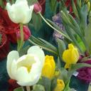 nancy regal - @nancy_regal - Twitter