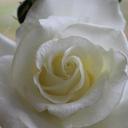 Suzanne Magee - @SuzanneMagee - Twitter