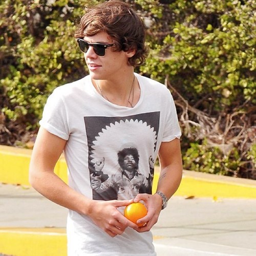 Sunshine, daisies, butter mellow, turn this stupid twitter page yellow. x The Jonas Brothers rock my world.
