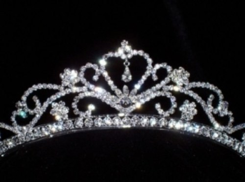 fedhillprincess's profile picture. The Adventures of a Federal Hill Princess