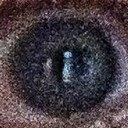 anna brenna - @nnbrnn - Twitter