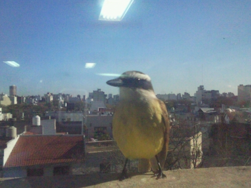 diegozero77's profile picture. 