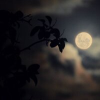 ~~ء (@tempest_17x) 's Twitter Profile