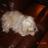 yrma_nobrega's profile image