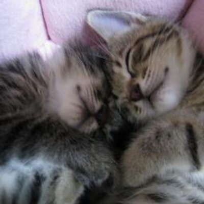 おばらっち Fraya Fx Twitter おばらっち Fraya Fx Twitter