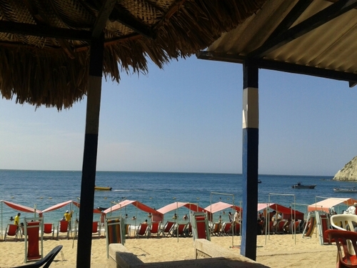 soniardila82's profile picture. 