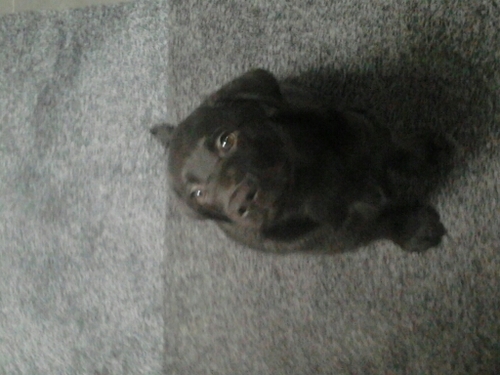hooooi allemaal