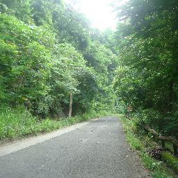 Debs_Lyn's profile picture. addiction totale à: #info, #médias, #gastronomie, #culture #voyage.
Le monde mérite d'être exploré! Explorez le!