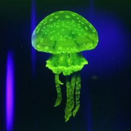 zulaboola's profile picture. 