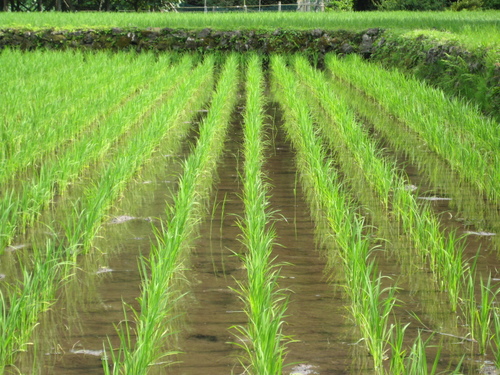 tmb_003's profile picture. 