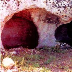 Nasce per l'istituzione di un parco nella zona archeologica dei Cugni, a  Pachino (SR). Zona mesa a repentaglio dall'immancabile cemento.