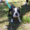 Vincent Handley - @VinkateHandley - Twitter