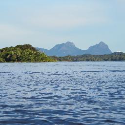 zezinhomanaus45's profile picture. 