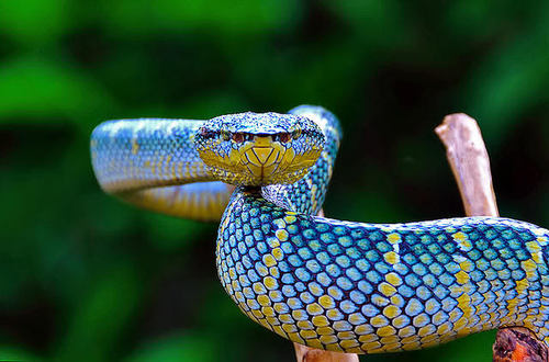 Dylan0783's profile picture. I'm a fun down to earth guy here's my bbm pin:22828A1C. Welcome to add me