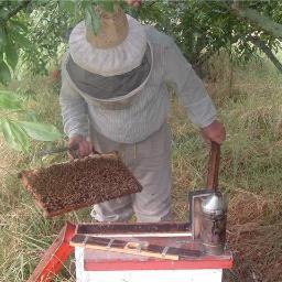 Distribuidora Apícola Vairolatti es una  empresa apícola con mas de 40 años en Argentina y en el mundo ...