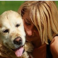 Evie Beeren (@ebeeren) 's Twitter Profile