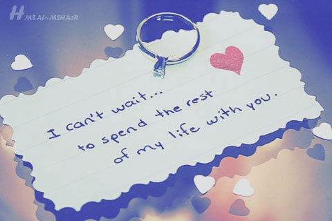 alsamer2020f's profile picture. ♥↓ AL SAMER ↓♥