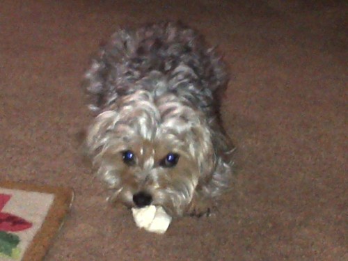 wndxn46's profile picture. 