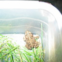 Jan Curry - @Jacey2013 - Twitter