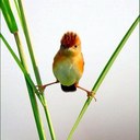 Olivia Gall - @olivia_gall - Twitter