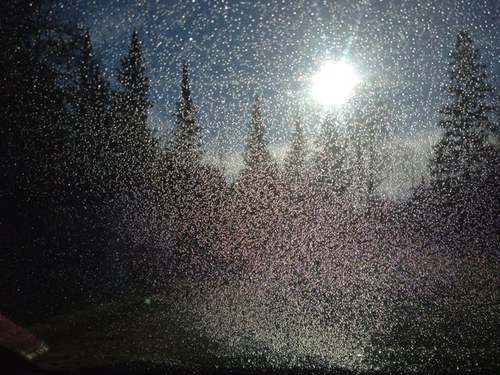 000dessa's profile picture. 