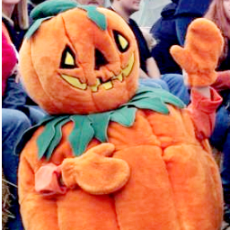 WNY's Largest Fall Festival open every year from mid-September through Halloween! 🎃🎃🎃