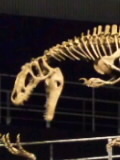 テレビとかドラマとか映画とかが好きです