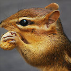 serinocampos's profile picture. Roaming the intricate corridors of my own mind. A connoisseur of life's peculiarities and oddities. Curating thoughts, one word at a time. Navigating the labyri