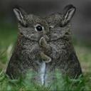 Sandra Dickens - @Darkenedangel08 - Twitter