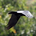 marc-arnaud - @monaco2251 - Twitter