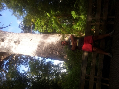 smijers's profile picture. 