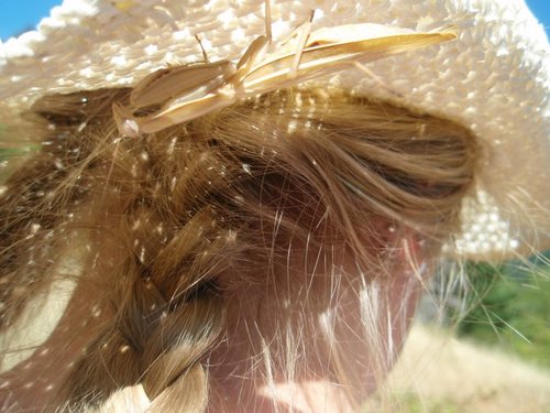 ErinSaraDP's profile picture. Bird Nerd. Story Game Geek.