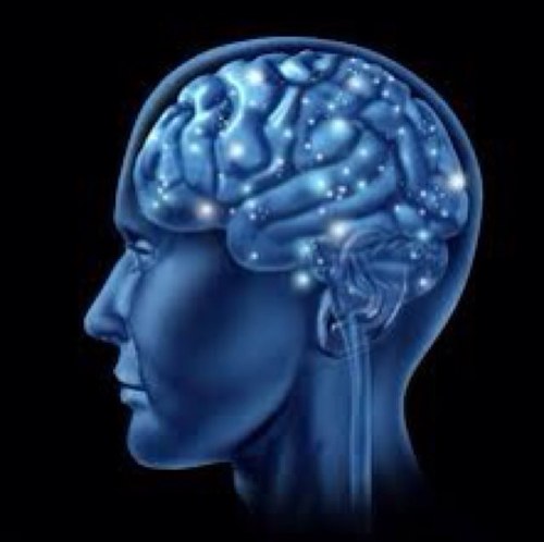 DlDyouKN0W's profile picture. 