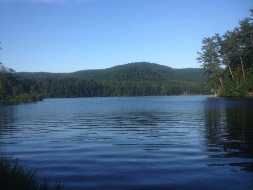 RYork21's profile picture. 