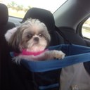 Sandra Collazo - @sandrac6212 - Twitter