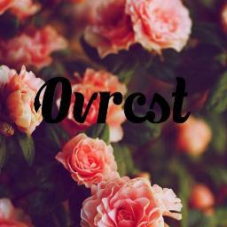 OVRCSTCLOTHING's profile picture. minneapolis.
16.
est. 2012