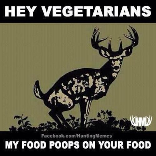 Sparky8542's profile picture. 