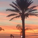 Alyssa Richter - @alilashmett - Twitter