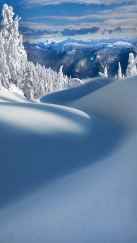 adamhodge83's profile picture. 