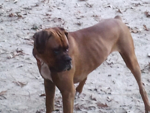 SouthernMilitia's profile picture. SouthernBorn-SouthernBred*molṑn labé* Conservative*Christian*NRA*2nd Amendment*Pro-Gun*Pro-Life*Pro-Isreal*WeThePeople*SupportVets*US Constitution*Patriot!